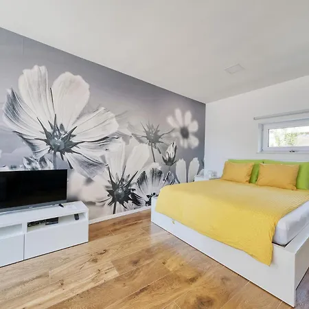 Apartments Trnovo Ljubljana Extérieur photo